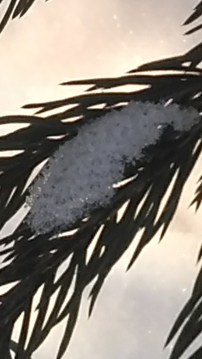 _2023-02-23_191937476 (393x700, 322Kb)