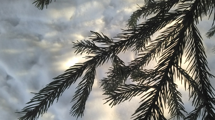 _2023-02-23_192000815 (700x393, 495Kb)
