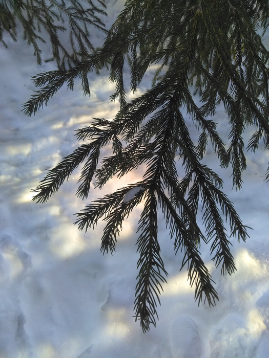 _2023-02-23_192031083 (525x700, 658Kb)