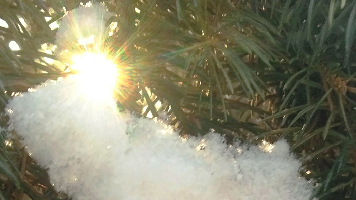 _2023-02-23_192101303 (700x393, 388Kb)
