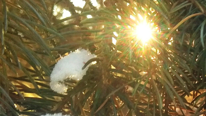 _2023-02-23_192133454 (700x393, 445Kb)