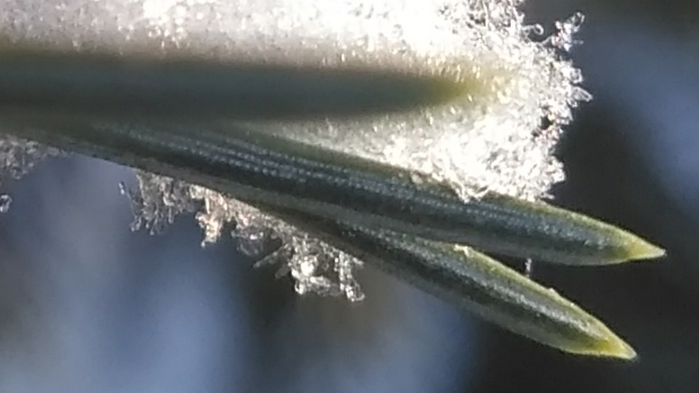 _2023-02-23_194147995 (700x393, 311Kb)