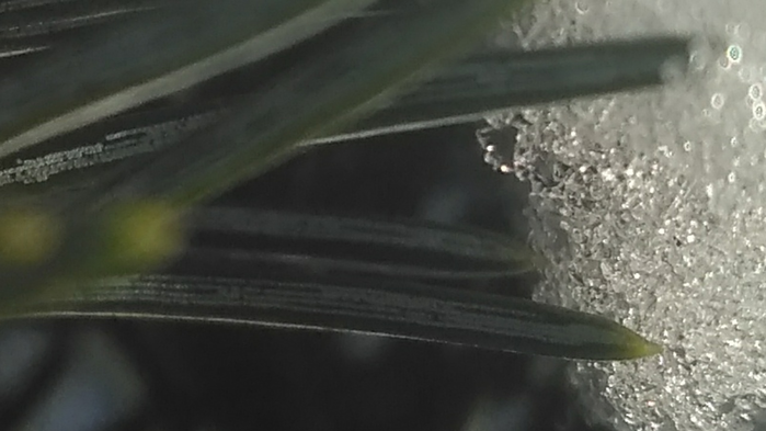 _2023-02-23_194319513 (700x393, 300Kb)