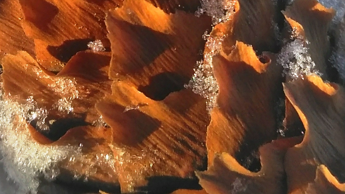 _2023-02-23_195007058 (700x393, 449Kb)