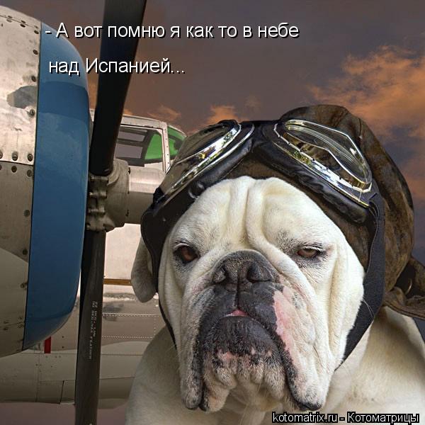 4743317_2 (600x600, 59Kb)