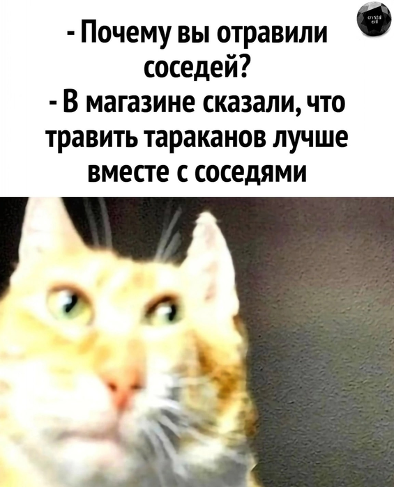 _2022-12-20_143827245 (565x700, 329Kb)
