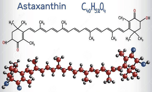 /6843052_astaxanthin7 (620x374, 44Kb)