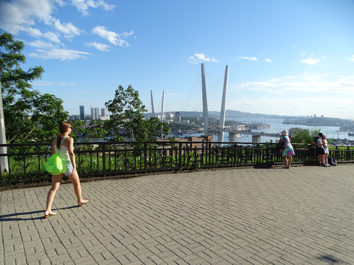 DSC00294 (700x525, 455Kb)