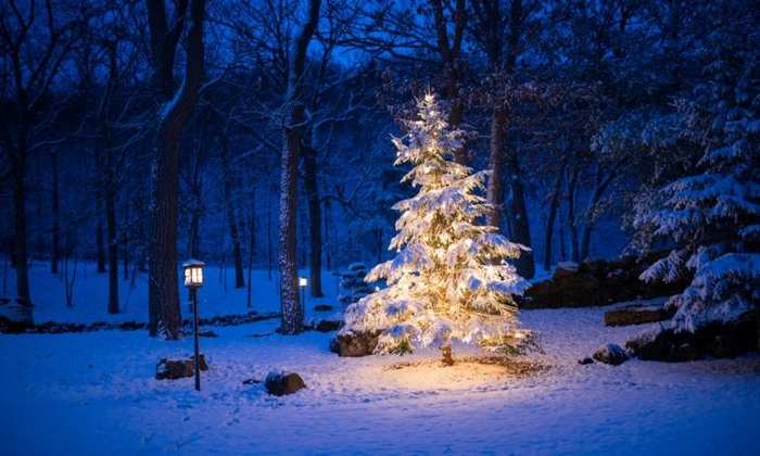 St-483-Weihnachten-Schnee-BILD-iStock-768x461 (900x620, 37Kb)