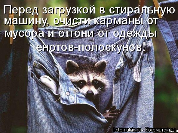 4743317_lP (592x444, 77Kb)