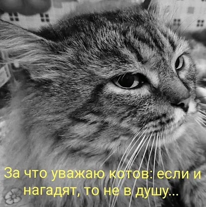 4743317_i_jpegavp (409x411, 68Kb)