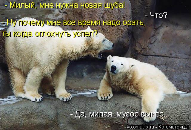 4743317_AK (640x435, 67Kb)