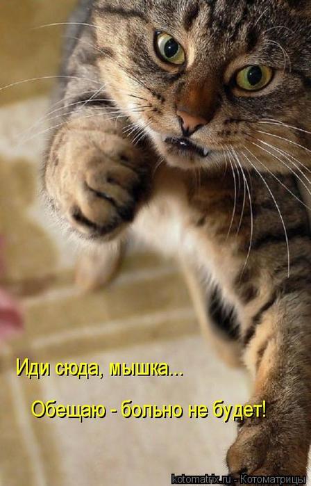 4743317_a8 (448x700, 49Kb)