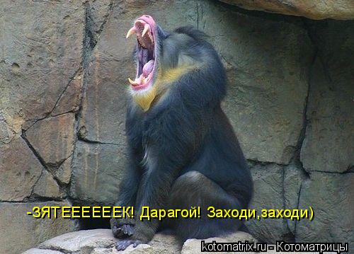 4743317_8k (500x359, 41Kb)