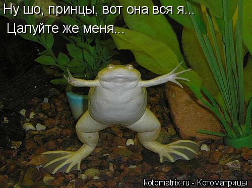 4743317_2l (500x372, 38Kb)