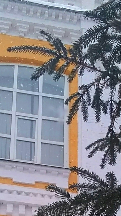_2023-03-03_132516750 (393x700, 497Kb)