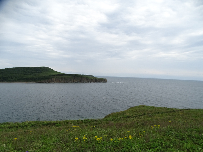 DSC00344 (700x525, 321Kb)