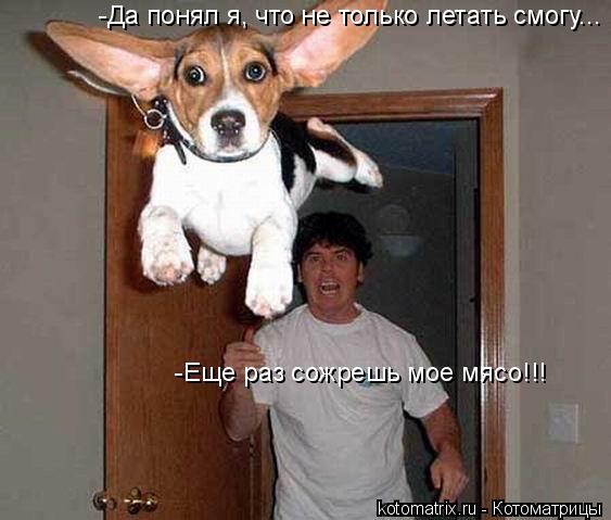 4743317_ZN_1_ (563x479, 38Kb)