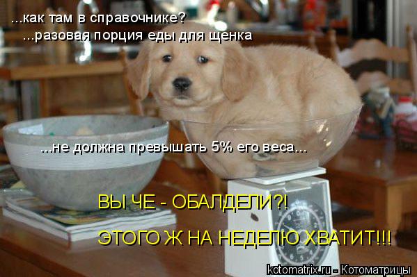 4743317_Ed (599x399, 45Kb)