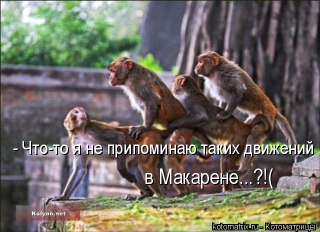 4743317_wQ (640x464, 54Kb)