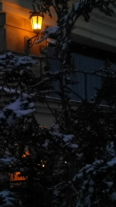 _2023-03-06_190308749 (393x700, 312Kb)