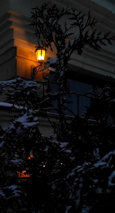 _2023-03-06_190326555 (378x700, 264Kb)