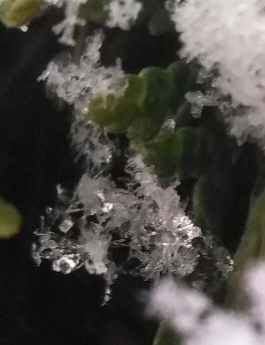 _2023-03-06_190555031 (532x692, 319Kb)