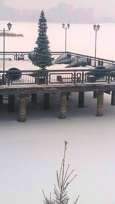 _2023-03-06_190619850 (393x700, 382Kb)