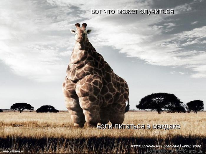 4743317_Rg (700x524, 58Kb)