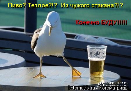 4743317_Px (450x311, 26Kb)