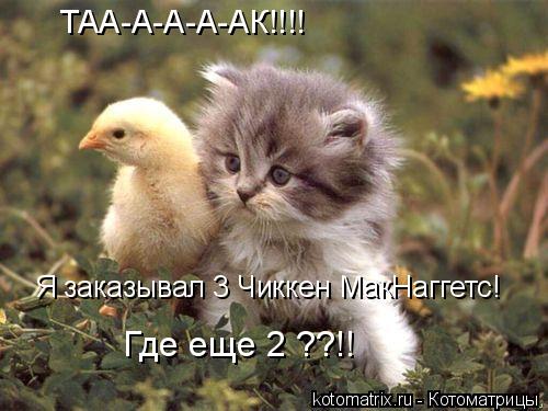 4743317_pw (500x375, 39Kb)