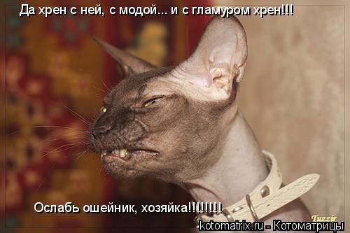 4743317_id (500x333, 26Kb)
