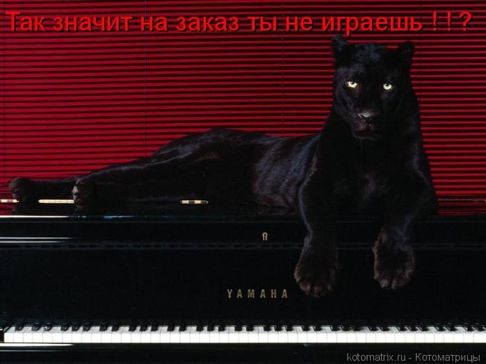 4743317_a (700x524, 40Kb)