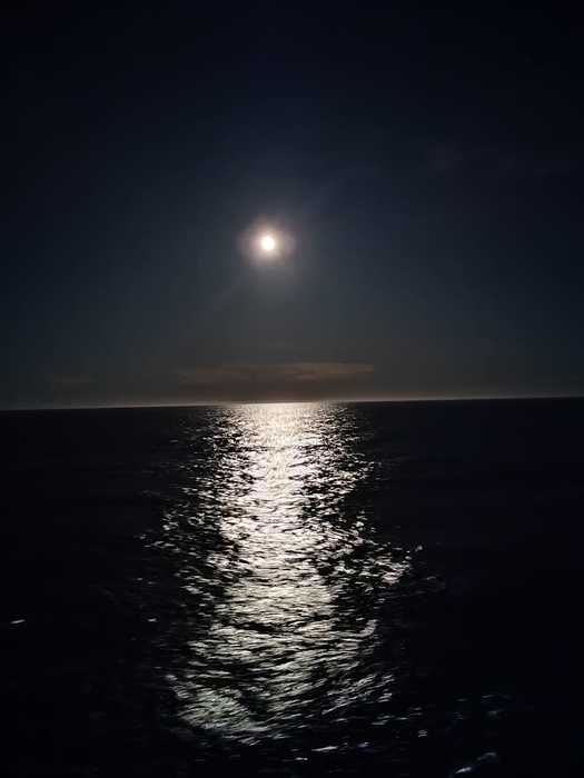 IMG-20230309-WA0014 (525x700, 19Kb)