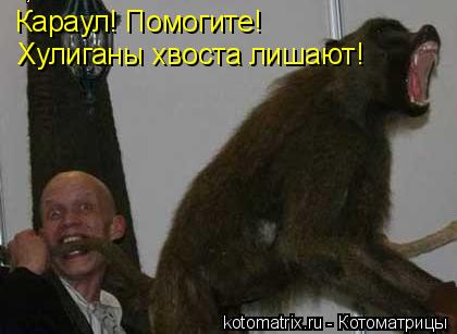 4743317_3W (420x307, 20Kb)