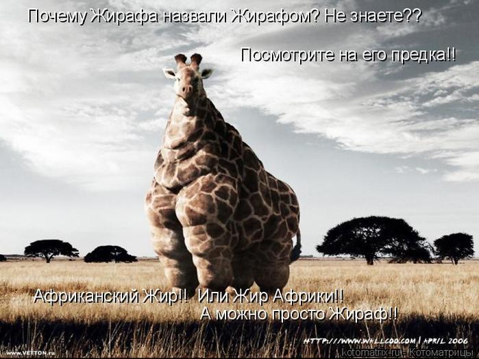 4743317_45n (700x524, 65Kb)