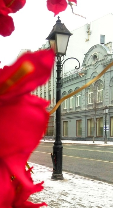 _2023-03-12_171558965 (381x700, 346Kb)