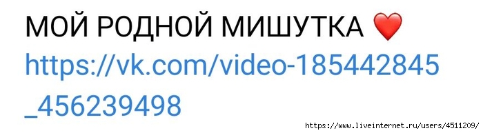 Screenshot_2022-12-25-21-16-29-536_com.vkontakte.android (700x193, 75Kb)