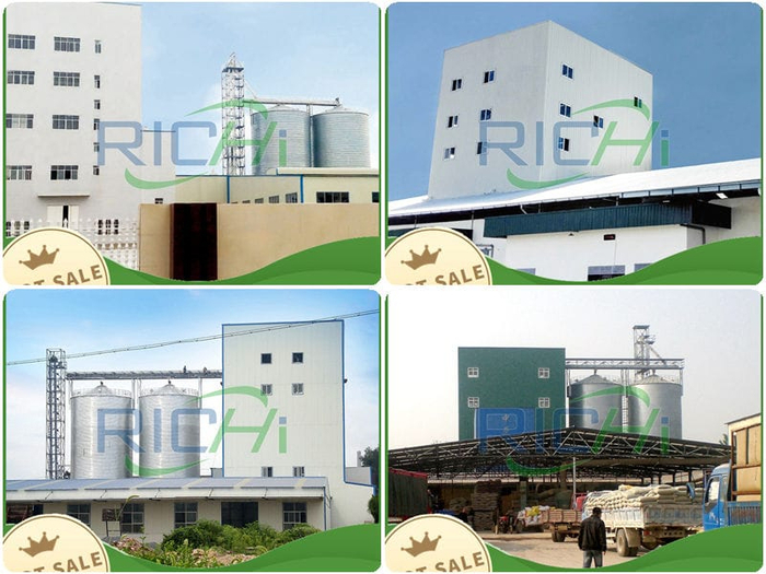 customized fish feed pellet line solutions (700x525, 361Kb)