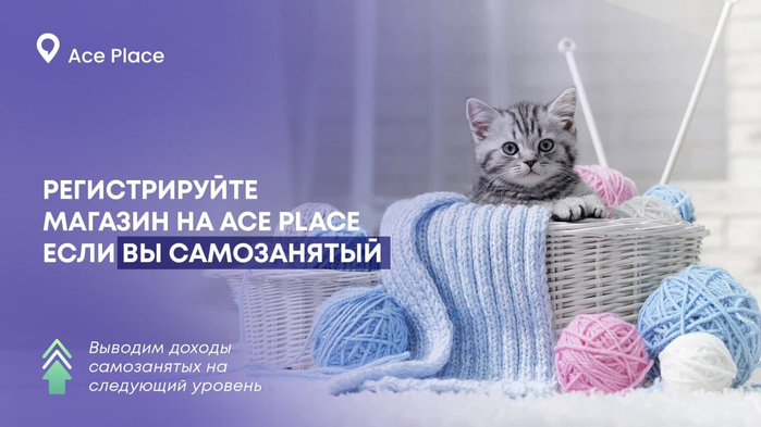 aceplace-promo-4 (700x393, 216Kb)