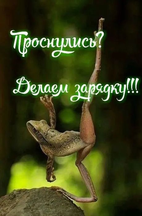 4743317_158069417_3416556_535fc7765f31e6abf122ef9be7cc863e (460x700, 46Kb)