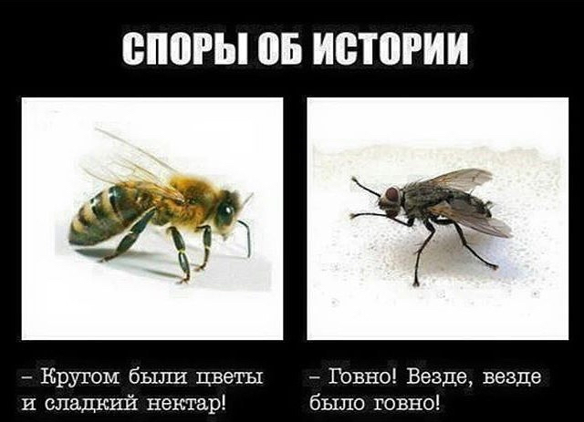 4743317_151378955_IMG_3211 (640x463, 133Kb)