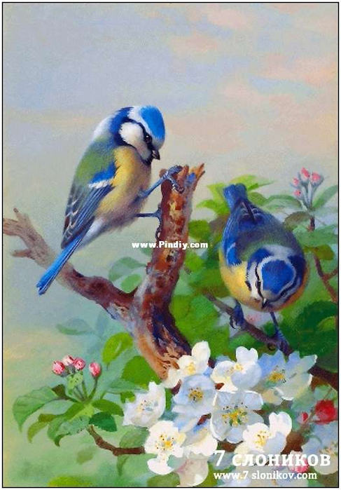 ABBC190D-6708-488D-AB96-D39837EB4DE3 (487x699, 356Kb)