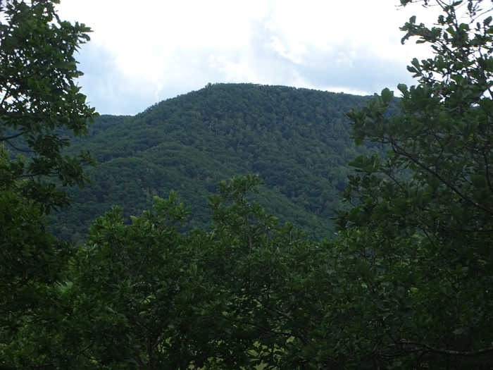 DSC00460 (700x525, 392Kb)