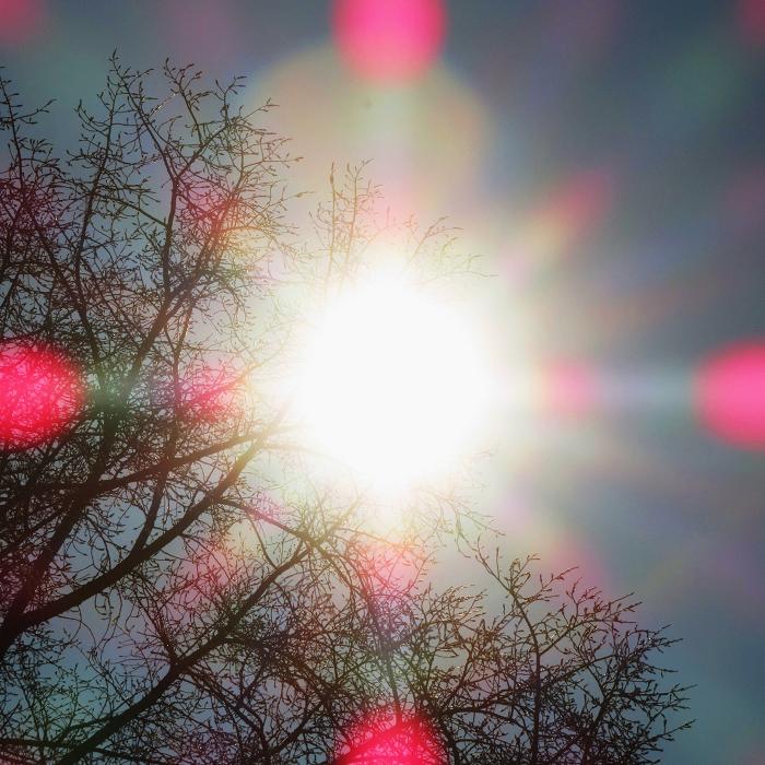 0 (700x700, 92Kb)