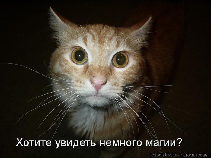 4743317_G (700x524, 40Kb)