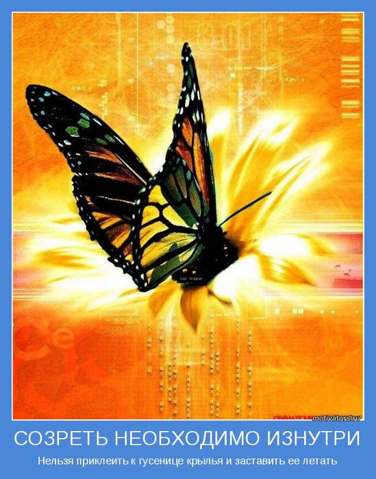 4743317_motivator59560 (549x700, 65Kb)