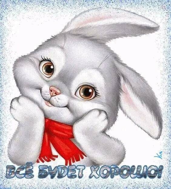 IMG_20221223_143540 (564x624, 88Kb)