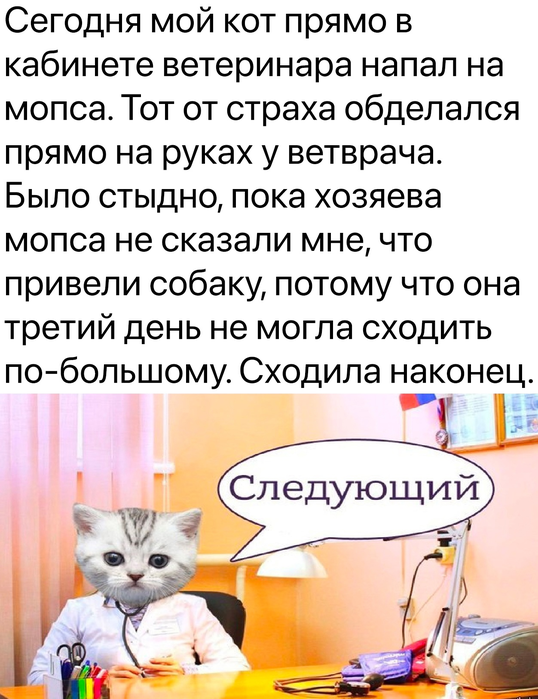 _2023-03-19_142315843 (538x700, 341Kb)
