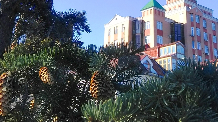 Screenshot_2023-03-19-12-05-12 (700x393, 260Kb)